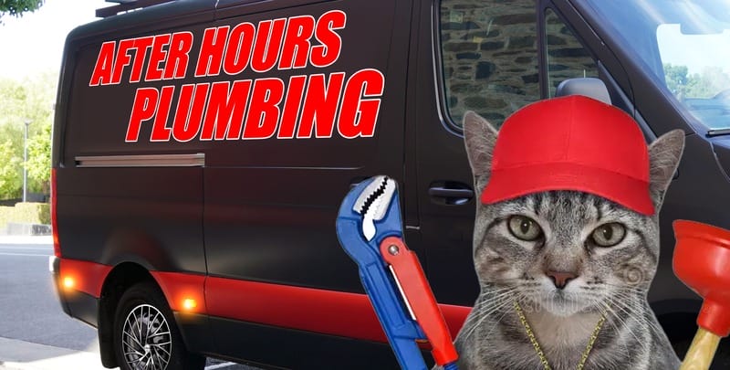After Hours Plumbing van with cat