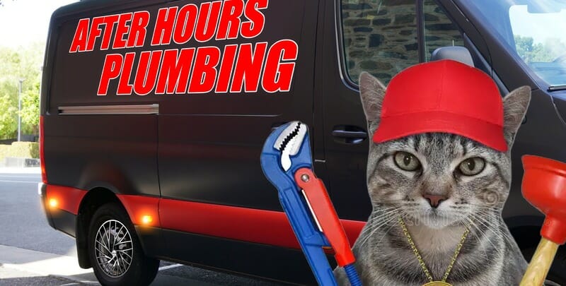 After Hours Plumbing van with plumber cat